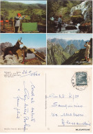 Delcampe - # BELLUNO: MOTIVI DI SVAGO NELLA VAL BELLUNA   1966 - Belluno