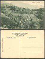 Delcampe - Ceylon Old Postcard Agriculture RICE FIELDS Paddy Terrace Mountains Panorama 186 - Sri Lanka (Ceylon)