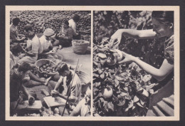 Delcampe - ISRAEL, Vintage Postcard, Judaica, Orange Picking At Mikveh Israel - Landwirtschaftl. Anbau