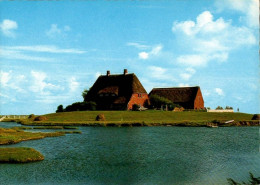 Delcampe - K2214 - TOP Hallig Hooge Kirchwarft - Verlag Rubin Otto Schulze - Halligen