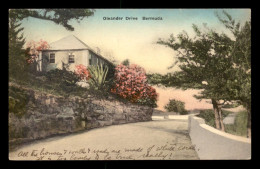Delcampe - BERMUDES - OLEANDER DRIVE - VOIR ETAT - Bermuda