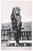 Delcampe - CPSM Dentelée 9 X 14 Isère ALLEVARD Les BAINS Place De La Résistance Le 14 Juillet 1943 L'arbre De La Liberté - Allevard