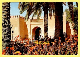 Delcampe - MAROC / OUJDA - Oujda