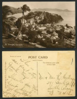 Delcampe - Grenada ST. GEORGES Old Real Photo Postcard Island Palm Tree Hill West Indies WI - Grenada