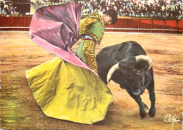 Delcampe - CPM Rebolera Corrida Taureau - Stierkampf