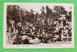 Delcampe - Les Vans - Bois De Païolive - Un Chaos De Rochers - Les Vans