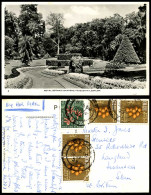 Delcampe - Ceylon 35c 10c X 4 1959 Old Real Photo Postcard Royal Botanic Gardens Peredeniya - Sri Lanka (Ceylon)