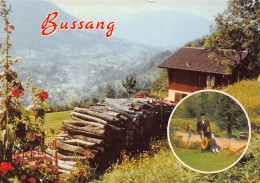Delcampe - Carte Postale 88. Bussang  Très Beau Plan - Bussang