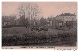 Delcampe - CAR-AIDP15-0739-64 - SAINT-PALAIS - Un Paddock De Saldi-Chaury - Saint Palais