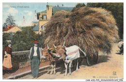 Delcampe - CAR-AIDP15-0712-64 - TYPES PYRENEENS - Attelage Bearnais - Bearn
