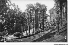 Delcampe - CAR-ABJP9-0810-64 - PAU - Montée à Travers La Palmeraie - Pau