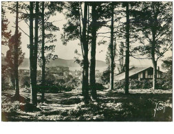Delcampe - 64.HENDAYE.n°14077.LE BOIS DE SASKOENEA.CPSM - Hendaye