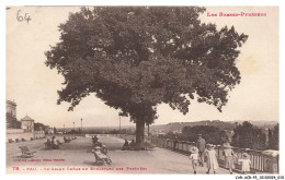 Delcampe - CAR-ACRP3-0122-64 - PAU - Le Grand Chene Du Boulevard Des Pyrénées - Pau