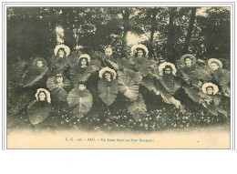 Delcampe - 64.PAU.UN COIN FLEURI AU PARC BAUMONT - Pau