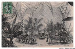Delcampe - CAR-AEJP7-0330-64 - PAU - Jardin D'hiver Le Palmarium - Pau