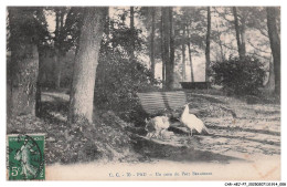 Delcampe - CAR-AEJP7-0278-64 - PAU - Un Coin Du Parc Beaumont - Pau