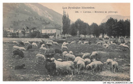 Delcampe - CAR-AEQP15-0785-64 - LARUNS - Moutons Au Paturage - Laruns