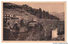 Delcampe - CAR-AEQP13-0662-64 - BIDARRAY - Le Tres Pittoresque Et Vieux Pont En Dos D'ane Sur La Nive - Bidarray