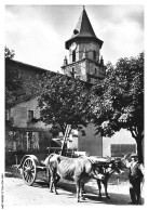 Delcampe - CAR-ACUP15-0942-64 - AINHOA - Un Attlelage Basque Devant L'église - Ainhoa