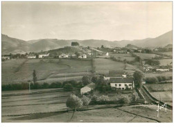 Delcampe - 64.SARE.n°14073.VUE VERS LA MONTAGNE DE BEGNA-PLATA.AU BAS DE LA COLLINE MAISON DE LUIS MARIANO .CPSM - Sare