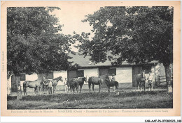 Delcampe - CAR-AAFP6-61-0533 - Environs De MOULINS-LA-MARCHE - MAHERU - Domaine De La Louvière - Moulins La Marche