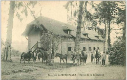 Delcampe - 61.LE MERLERAULT.HARAS DE LA GENEVRAYE - Le Merlerault