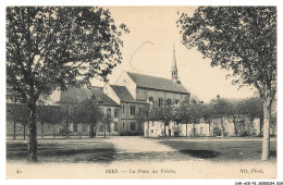 Delcampe - CAR-ACEP3-0171-61 - SEES - La Place Du Friche - Sees