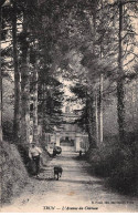 Delcampe - 61 - TRUN - SAN46512 - L'Avenue Du Château - Trun