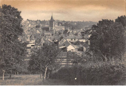 Delcampe - 61 - SAN61883 - LAIGLE - Vue Panoramique - Dronne - CPSM 10x15 Cm - L'Aigle