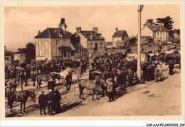 Delcampe - CAR-AAAP9-61-0673 - DOMFRONT - Foire Aux Chevaux - Domfront