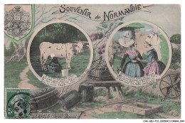 Delcampe - CAR-AEUP12-0604-61 - Souvenir De Normandie - L'AIGLE - Déposé - L'Aigle