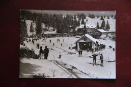 Delcampe - ALLEMAGNE - FELDBERG - Feldberg