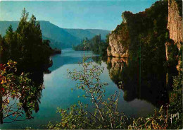 Delcampe - Carte Postale - 24 - Dordogne - Aux Environs Des Eyzies Un Aspect Calme Et Reposant De La Dordogne - CPM - Voir Scans Re - Autres & Non Classés