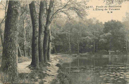 Delcampe - Carte Postale - 92 - Meudon - Forêt De Meudon - Etang De Trivaux - CPA - Voir Scans Recto-Verso - Poscard - Carta Postal - Meudon