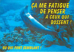 Delcampe - Carte Postale - Animaux - Dauphins - CPM - Voir Scans Recto-Verso - Poscard - Carta Postal -  Postkarte - Dolfijnen
