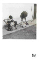 Delcampe - Carte Postale - Irlande - Dublin - Shearing Sheep - Beaufort - Museum Of Archeology And History - Ireland - Irlanda - CP - Dublin