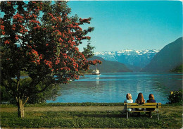 Delcampe - Carte Postale - Norvège - Ulvik, Hardanger - Norge - Norway - CPM - Voir Scans Recto-Verso - Poscard - Carta Postal -  P - Norwegen