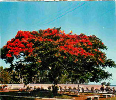 Delcampe - Carte Postale - Antilles - Fleurs Des Antilles - Flamboyant - CPM - Voir Scans Recto-Verso - Poscard - Carta Postal -  P - Autres & Non Classés