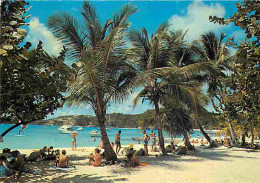 Delcampe - Carte Postale - Antilles - Sous Les Cocotiers - CPM - Voir Scans Recto-Verso - Poscard - Carta Postal -  Postkarte - Autres & Non Classés