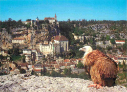 Delcampe - Carte Postale - Animaux - Oiseaux - Rapaces - Vautour - Rocamadour - CPM - Voir Scans Recto-Verso - Poscard - Carta Post - Vogels