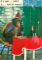 Delcampe - Carte Postale - Animaux - Singes - Chimpanzé - Carte à Message - Carte Humoristique - Carte Neuve - CPM - Voir Scans Rec - Monos