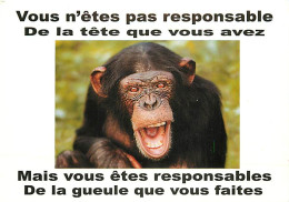 Delcampe - Carte Postale - Animaux - Singes - Chimpanzé - Carte à Message - Carte Neuve - CPM - Voir Scans Recto-Verso - Poscard - - Monos