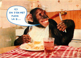 Delcampe - Carte Postale - Animaux - Singes - Chimpanzé - Carte à Message - Collection Singeries - CPM - Voir Scans Recto-Verso - P - Monos