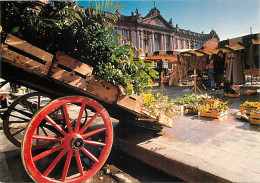 Delcampe - Carte Postale - Marchés - Toulouse - La Place Du Capitole Un Jour De Marché. La Façade De L'Hôtel De Ville A été édifiée - Mercados
