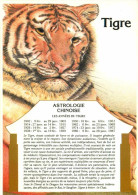 Delcampe - Carte Postale - Animaux - Fauves - Tigre - Tiger - Astrologie Chinoise - Les Années Du Tigre - Illustration De S Lazoure - Tigers