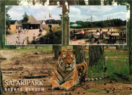 Delcampe - Carte Postale - Animaux - Fauves - Tigre - Tiger - Safaripark Beekse Bergen - Hilvarenbeek - Multivues - CPM - Carte Neu - Tigers