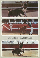 Delcampe - Carte Postale - Corrida - La Course Landaise - Les Beaux écarts Pendant La Course - Multivues - CPM - Voir Scans Recto-V - Stierkampf