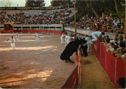 Delcampe - Carte Postale - Corrida - La Course Libre à La Cocarde - Un Joli Coup De Barrière - CPM - Voir Scans Recto-Verso - Posca - Stierkampf