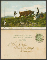 Delcampe - Spain 1906 Old Postcard Gran Canaria Agriculture Farmers Cattle Ploughing Fields - Non Classés