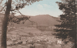 Delcampe - 88 - MOUSSEY - Vue Partielle (bords Crantés) - Moussey